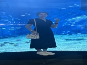 石家庄征婚交友